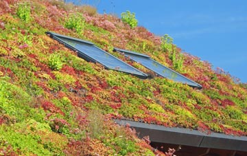 Gortnessy living roof systems